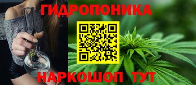 гашик Нягань