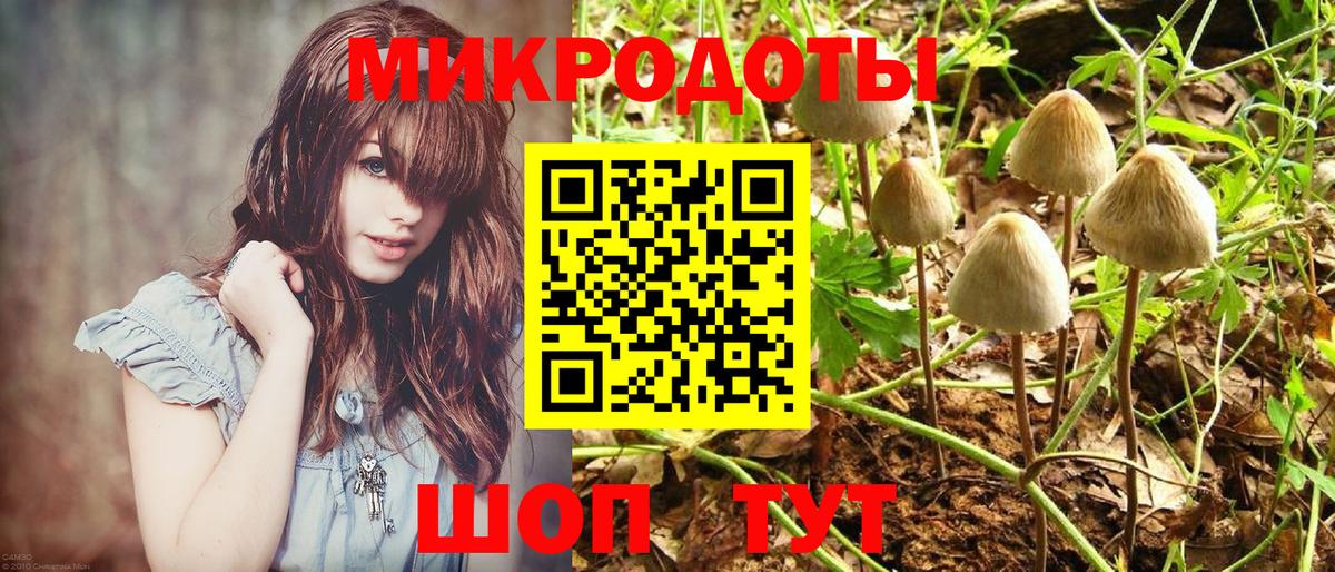 Семилуки  Псилоцибиновые грибы ЛСД  Вход с VPN 