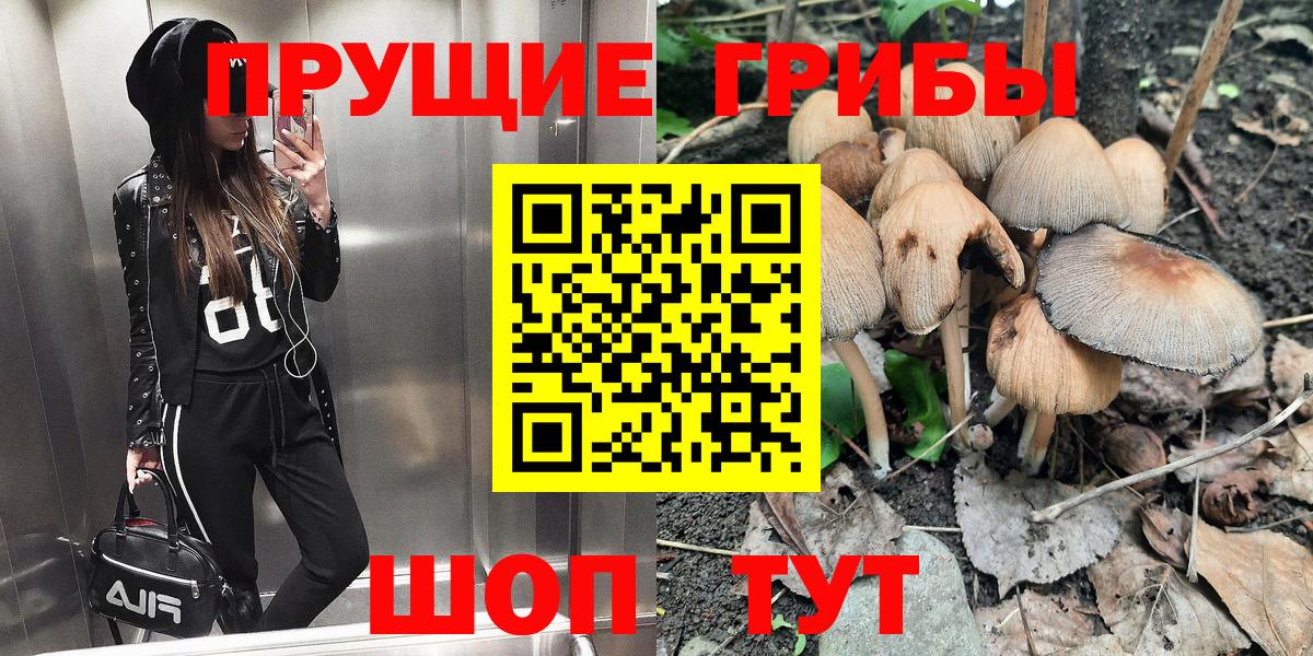 Галлюциногенные грибы Psilocybine cubensis Семилуки